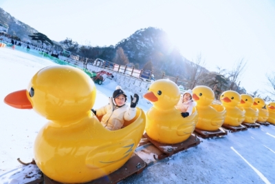 WINTER KOREA NEW YEAR